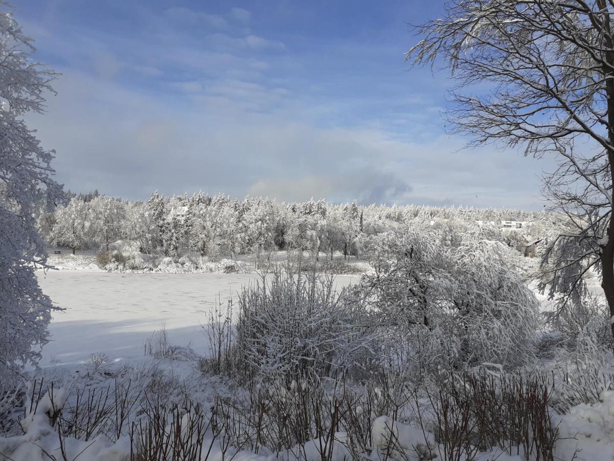 Premium-Ferienwohnungen Bergblick Im Haus Hopfe Гослар Екстериор снимка