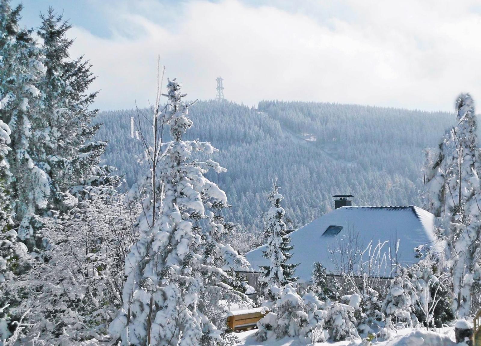 Premium-Ferienwohnungen Bergblick Im Haus Hopfe Гослар Екстериор снимка