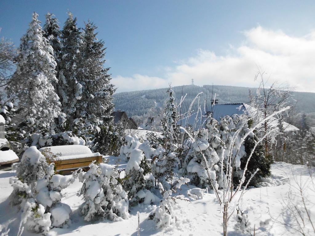 Premium-Ferienwohnungen Bergblick Im Haus Hopfe Гослар Екстериор снимка