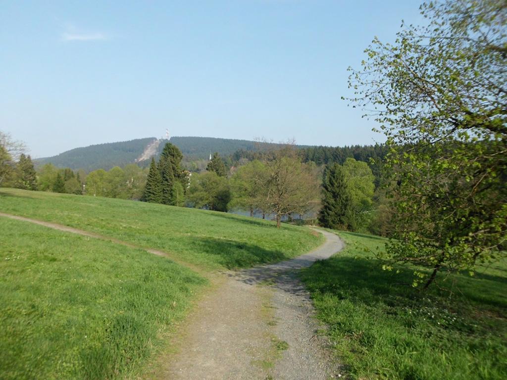 Premium-Ferienwohnungen Bergblick Im Haus Hopfe Гослар Екстериор снимка