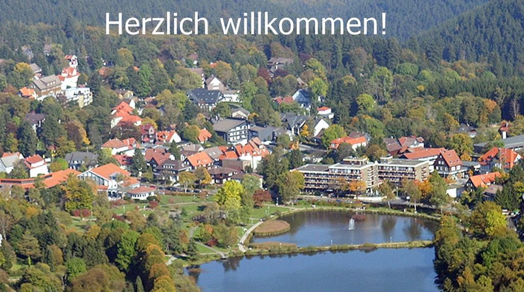 Premium-Ferienwohnungen Bergblick Im Haus Hopfe Гослар Екстериор снимка